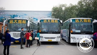 遠大駕校 史各莊報名點