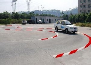 中國評論新聞 互聯(lián)網(wǎng) 駕校 浙江企業(yè)創(chuàng)新傳統(tǒng)駕培模式