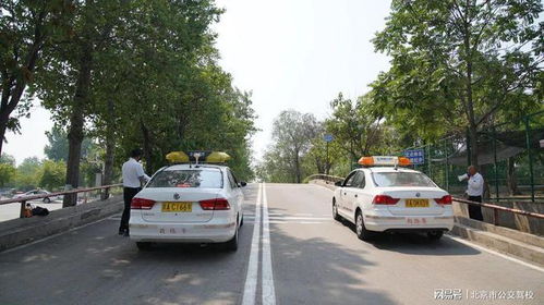 獻(xiàn)禮祖國74華誕鉅惠來襲 眾多班型限時優(yōu)惠500元